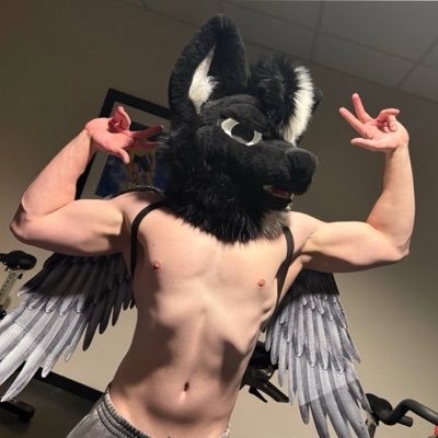 zinc's profile picture