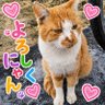 伊藤正人😸💕マイペース浮上☺️ profil fotoğrafı
