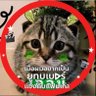 OoPAKKADoO's profile picture