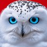Luqax's profile picture