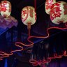 Sompong 的头像