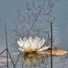 Profilbild von Vladimir Jovanovic