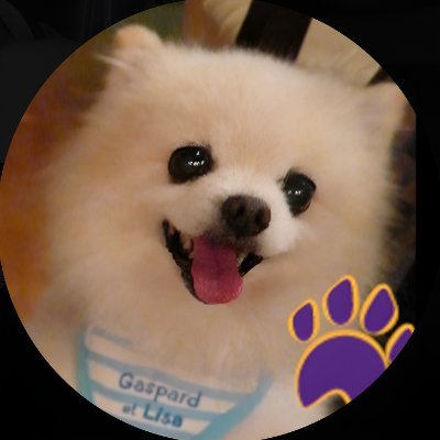 💯天才夢来山 来夢ちゃん 雪組 🎑's profile picture