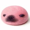 Profilbild von Torch