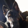 Calum's profile picture