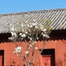 huangqingyi's profile picture