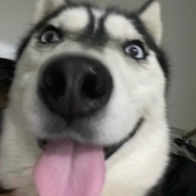 lue865's profile picture