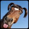 Thomas Schieferdecker's profile picture