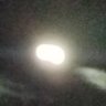 Skin Walker's profile picture