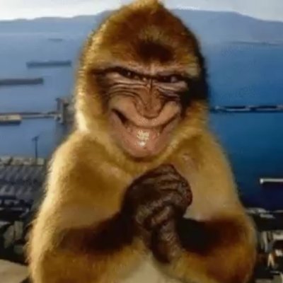 AgustDih⁷'s profile picture
