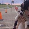 sasa melody's profile picture