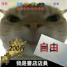 中國人民站起來 profil fotoğrafı