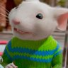 Stuart Little's profile picture