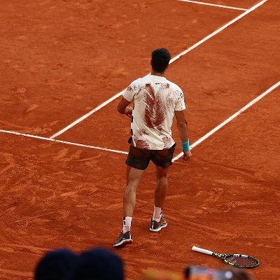 alcarazdaily's profile picture