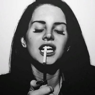 lanitsrey's profile picture