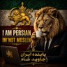 Profilbild von 👑حامی👑