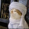 𓆩 سَلِيلُ الشُّرَاة 𓆪 的头像