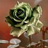 Фото профиля Ruhsuzdeğil 27