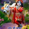 Narayan Narayan 的头像