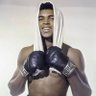 Фото профиля Random HumanMMA