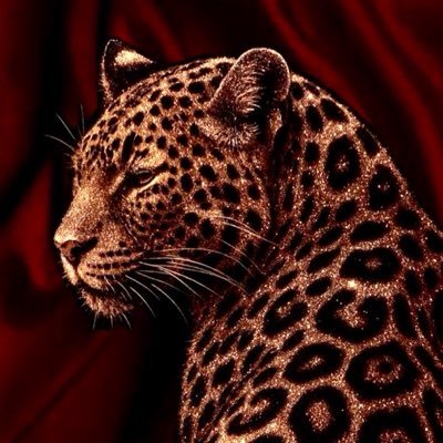 moha_i0's profile picture