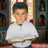 Selim Sivi's profile picture