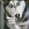 mazylizz's profile picture