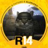 Doidão's profile picture