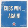 Cubs Mama's profile picture