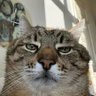 Marcin's profile picture