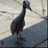 Eclaire's profile picture