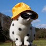 Profilbild von Arika