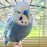 calm🕊️のん 的头像
