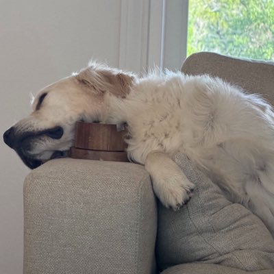 rocketmom_maye's profile picture