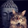 KARMA 的头像