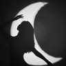 Profilbild von ّ