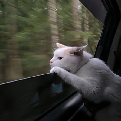 PHM's profile picture