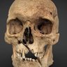 Фото профиля SkullyCrossbones