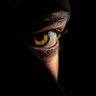 Profilbild von EXTORTIONIST