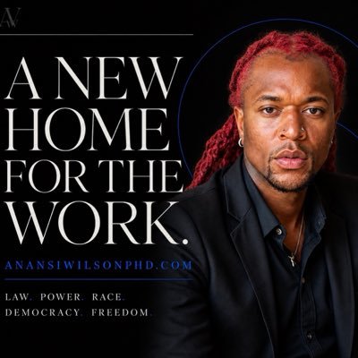Dr. T. Anansi Wilson, JD, PhD 🇵🇸's profile picture