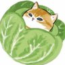 cabcat ate sevan 🥀XHIS6 profil fotoğrafı