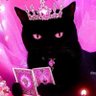Profilbild von Мускер Фускер
