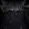 Profilbild von Lil Sus