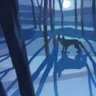 Michael Bear's profile picture