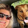 DebHoney🐕🍯 profil fotoğrafı