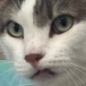 RKG's profile picture