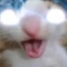 barros (art)'s profile picture
