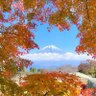 かんたか's profile picture