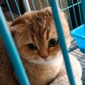 ☺️☺️ profil fotoğrafı
