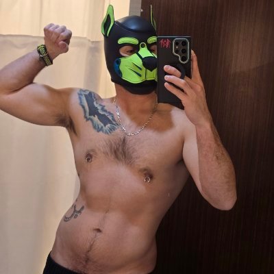 PupScope's profile picture